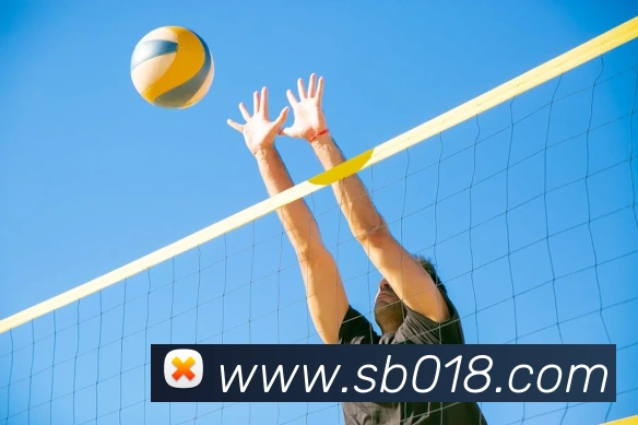 sunbet申博官网平台生态图